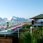 Delphin Diva Premiere