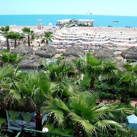 Delphin Diva Premiere