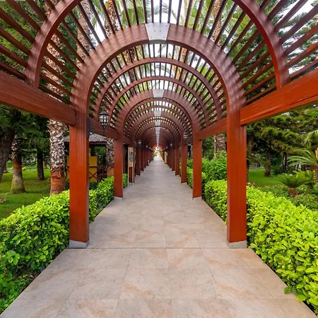 Delphin Diva Premiere