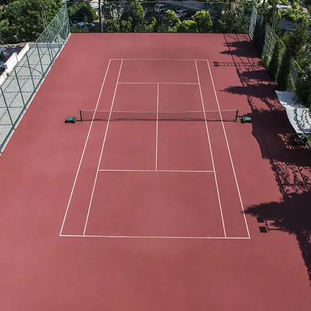 デルフィン ディーバ プルミエール