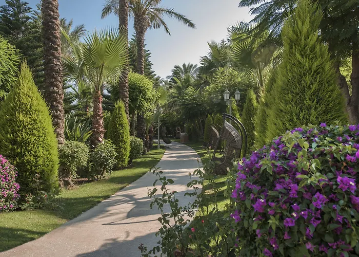 Delphin Diva Premiere Resort