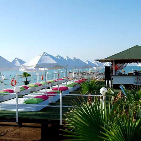 Delphin Diva Premiere